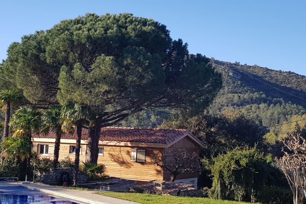 A L'Ombre Du Chene Gites Eden En Cevennes Anduze Ngoại thất bức ảnh