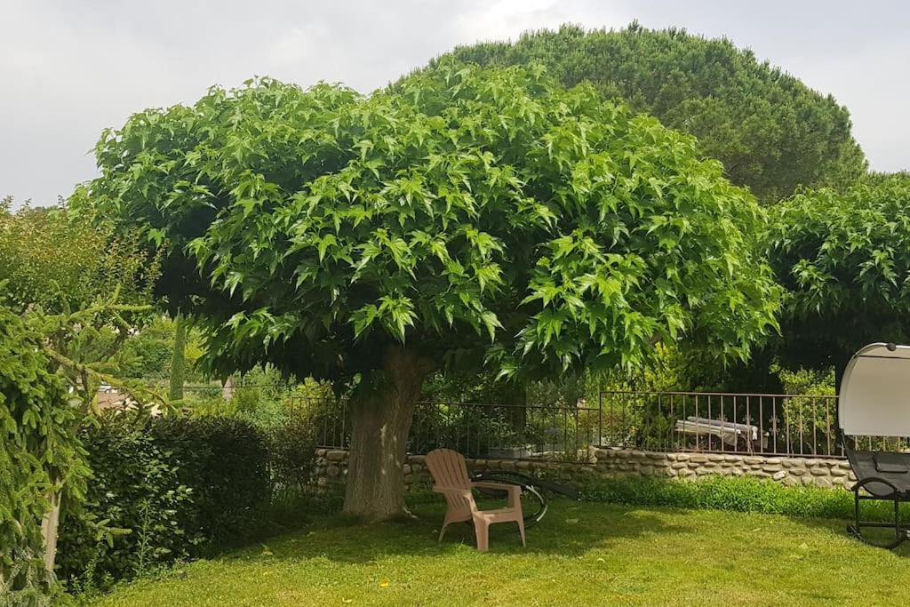 A L'Ombre Du Chene Gites Eden En Cevennes Anduze Ngoại thất bức ảnh